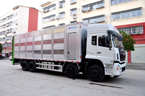 滁州運輸 秦皇島生豬運輸車專業(yè)廠家選擇指南